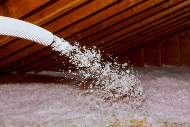 Best Types of Insulation in Santa Cruz, CA